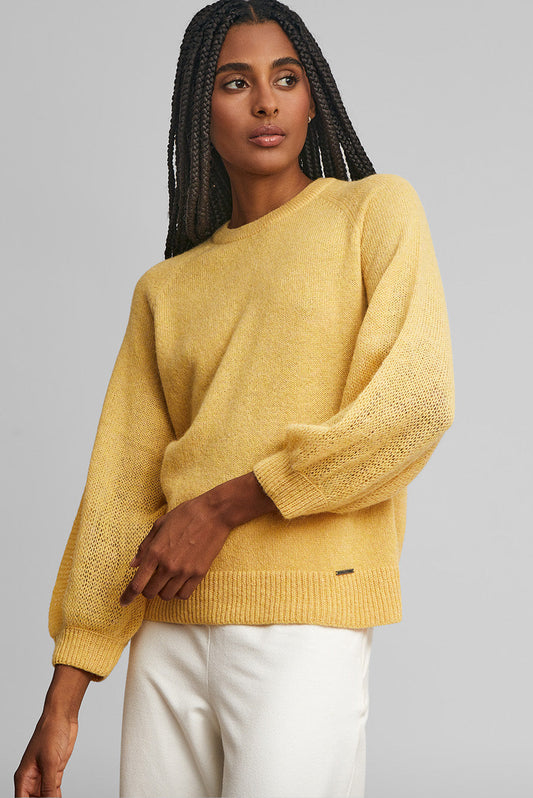 Pull Wake en Baby Alpaga Couleur Amarelo